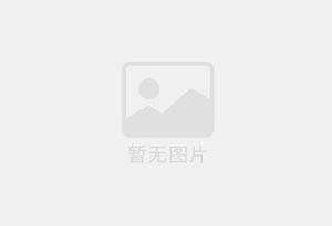味好美香料